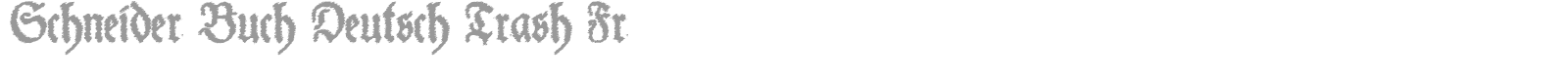 Schneider Buch Deutsch font preview